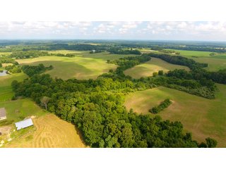 TRACT 20 - ILLINOIS LAND AUCTION - 4,810+/- ACRES OFFERED IN 85 TRACTS IN FRANKLIN, WILLIAMSON, HAMILTON & SALINE COUNTIES, ILLINOIS
